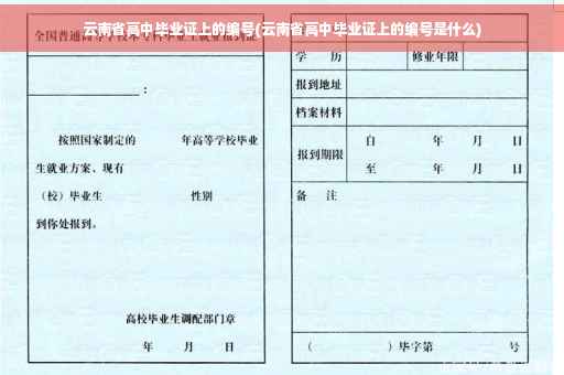 云南省高中毕业证上的编号(云南省高中毕业证上的编号是什么) 云南省高中毕业证上的编号(云南省高中毕业证上的编号是什么)