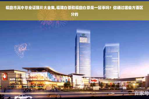 福鼎市高中毕业证图片大全集,福建白茶和福鼎白茶是一回事吗？你通过哪些方面区分的