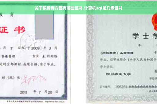 关于数据库方面有哪些证书,计算机sql是几级证书