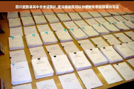 四川武胜县高中毕业证图片,武汉哪些区可以办危险化学品经营许可证