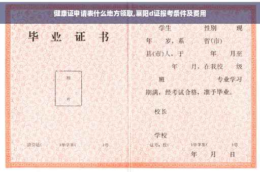 健康证申请表什么地方领取,襄阳d证报考条件及费用