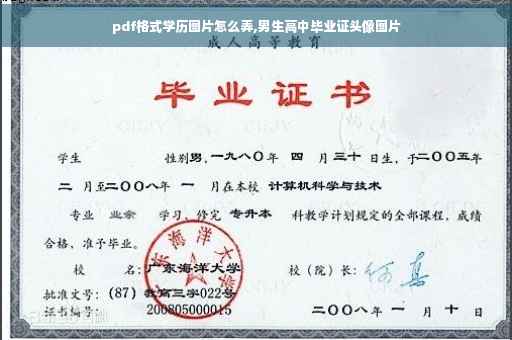 pdf格式学历图片怎么弄,男生高中毕业证头像图片