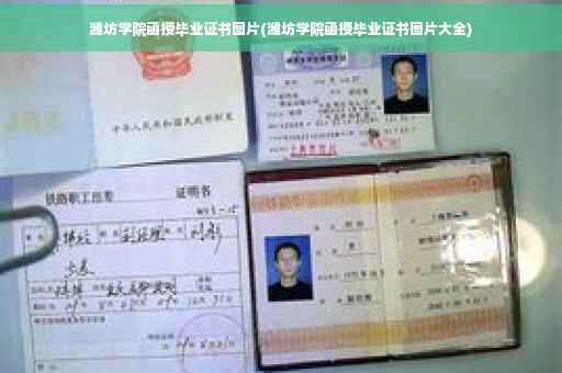 潍坊学院函授毕业证书图片(潍坊学院函授毕业证书图片大全)