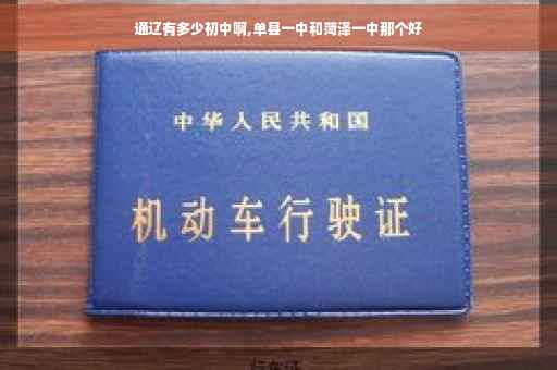 通辽有多少初中啊,单县一中和菏泽一中那个好