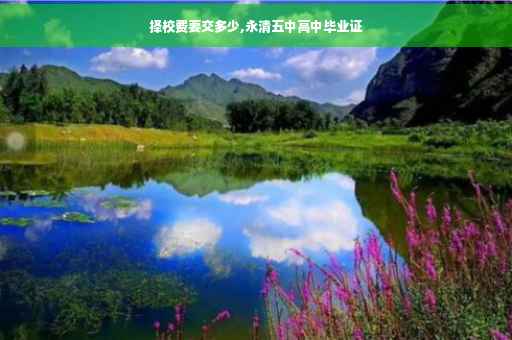择校费要交多少,永清五中高中毕业证