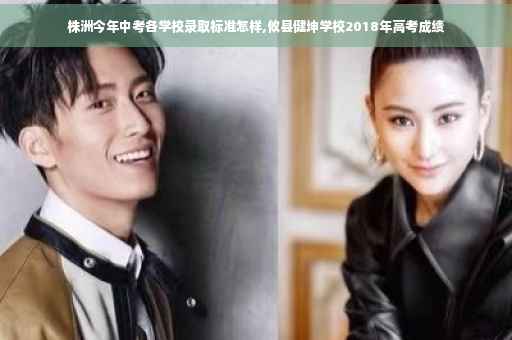 株洲今年中考各学校录取标准怎样,攸县健坤学校2018年高考成绩