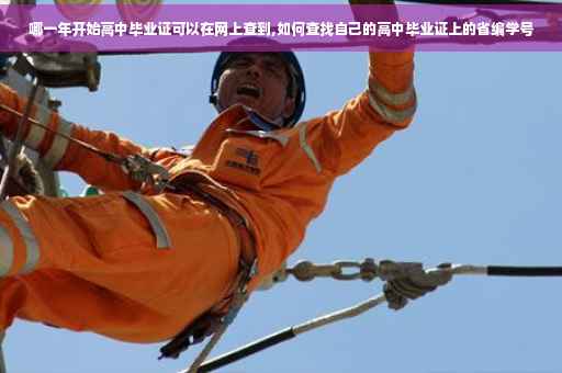 哪一年开始高中毕业证可以在网上查到,如何查找自己的高中毕业证上的省编学号