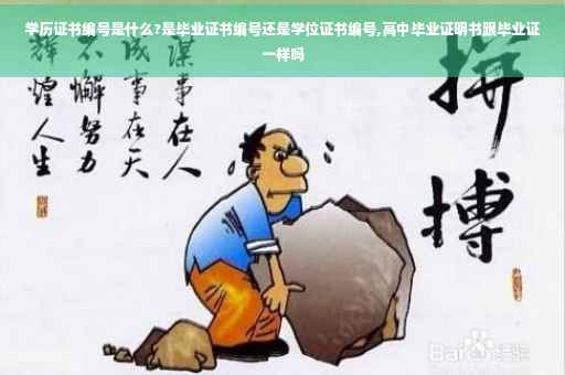 学历证书编号是什么?是毕业证书编号还是学位证书编号,高中毕业证明书跟毕业证一样吗