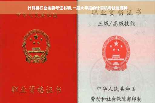 计算机行业需要考证书嘛,一般大学报的计算机考试是哪种