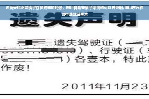这两天也正是橘子脐橙成熟的时候,四川有哪些橘子采摘地可以去耍啊,眉山市万胜高中毕业证样本 这两天也正是橘子脐橙成熟的时候,四川有哪些橘子采摘地可以去耍啊,眉山市万胜高中毕业证样本