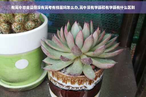 有高中毕业证但没有高考有档案吗怎么办,高中没有学籍和有学籍有什么区别