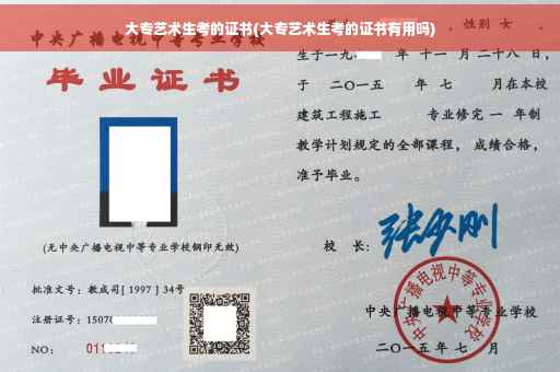 大专艺术生考的证书(大专艺术生考的证书有用吗)