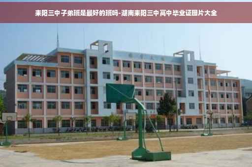 耒阳三中子弟班是最好的班吗-湖南耒阳三中高中毕业证图片大全