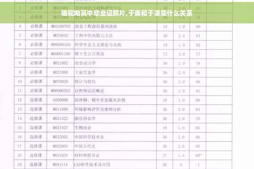 骆驼坳高中毕业证照片,于震和于凌是什么关系