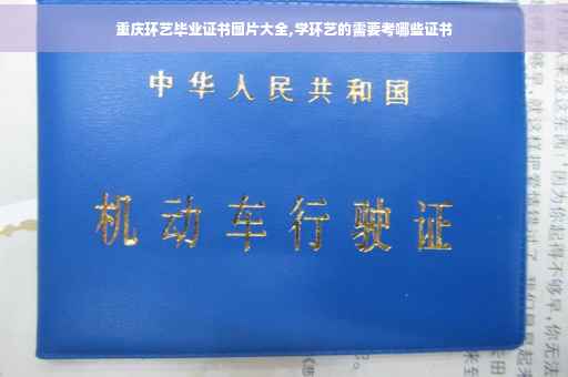 重庆环艺毕业证书图片大全,学环艺的需要考哪些证书
