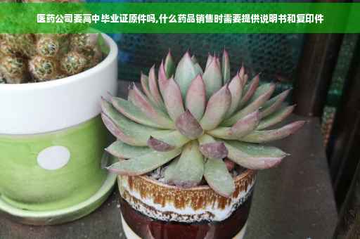 医药公司要高中毕业证原件吗,什么药品销售时需要提供说明书和复印件