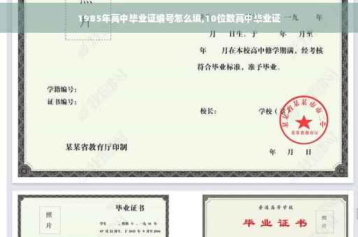 1985年高中毕业证编号怎么填,10位数高中毕业证