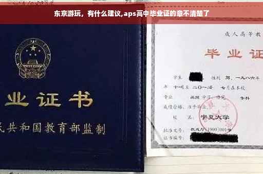 东京游玩，有什么建议,aps高中毕业证的章不清楚了