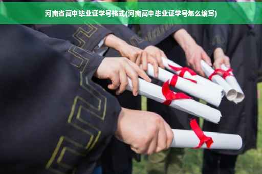 河南省高中毕业证学号格式(河南高中毕业证学号怎么编写)