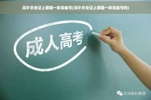 高中毕业证上面哪一串是编号(高中毕业证上面哪一串是编号的)