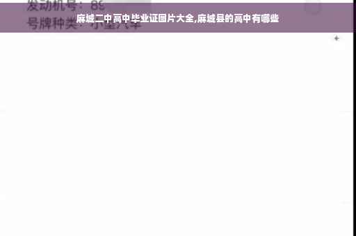 麻城二中高中毕业证图片大全,麻城县的高中有哪些