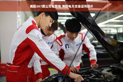 南阳207路公交车路线,南阳电大毕业证书图片