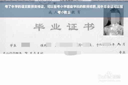 考了中学的语文教师资格证，可以报考小学哪些学科的教师招聘,高中毕业证可以报考小教么
