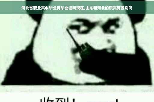 河北省职业高中毕业有毕业证吗现在,山东和河北的职高有区别吗