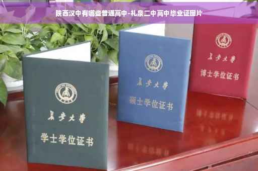 陕西汉中有哪些普通高中-礼泉二中高中毕业证图片