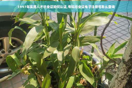 1997年实用人才毕业证如何认证,专科毕业证电子注册号怎么查询 1997年实用人才毕业证如何认证,专科毕业证电子注册号怎么查询