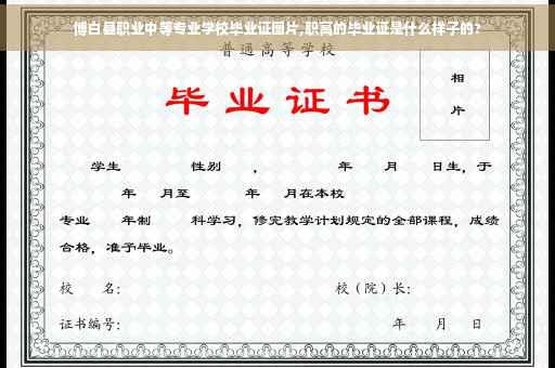 博白县职业中等专业学校毕业证图片,职高的毕业证是什么样子的?