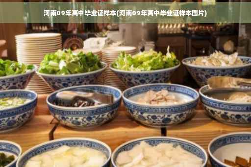 河南09年高中毕业证样本(河南09年高中毕业证样本图片)