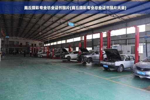 商丘摄影专业毕业证书图片(商丘摄影专业毕业证书图片大全)