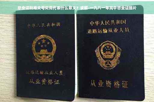 毕业证批准文号究竟代表什么意义？求解-一九八一年高中毕业证图片