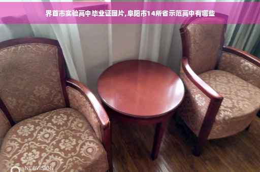 界首市实验高中毕业证图片,阜阳市14所省示范高中有哪些