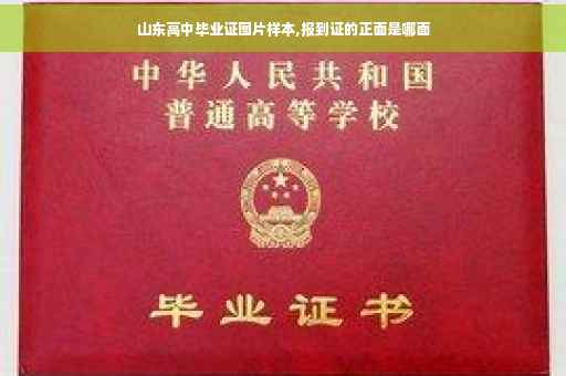 山东高中毕业证图片样本,报到证的正面是哪面