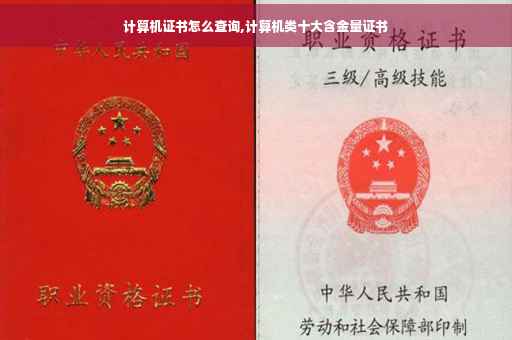 计算机证书怎么查询,计算机类十大含金量证书