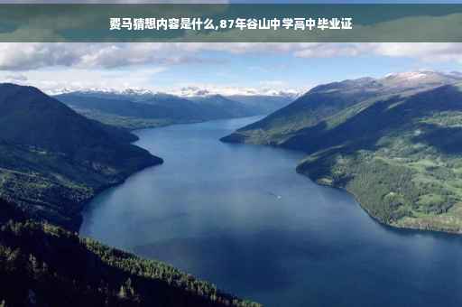 费马猜想内容是什么,87年谷山中学高中毕业证