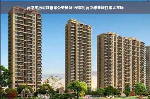 高中学历可以报考公务员吗-没拿到高中毕业证能考大学吗