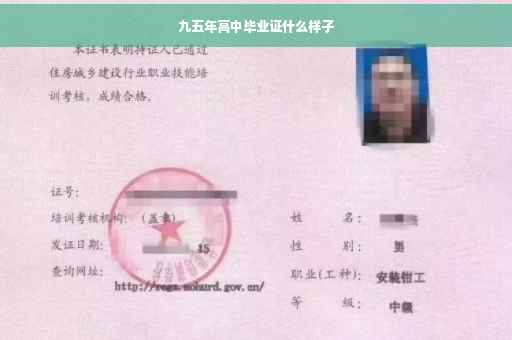 九五年高中毕业证什么样子