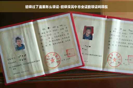初级过了需要怎么领证-初级没高中毕业证能领证吗现在