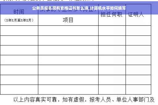 公务员报名现有资格证书怎么填,计算机水平如何填写