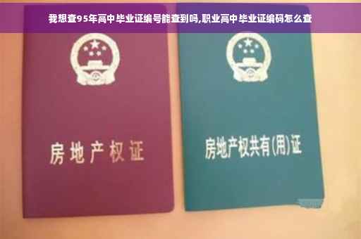 我想查95年高中毕业证编号能查到吗,职业高中毕业证编码怎么查 我想查95年高中毕业证编号能查到吗,职业高中毕业证编码怎么查