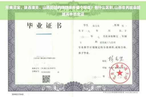 河南灵宝、陕西潼关、山西阳城的烧饼夹肉哪个好吃？有什么区别,山西省芮城县阳城高中毕业证