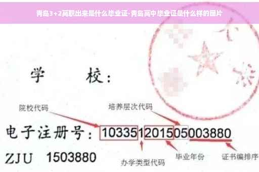 青岛3+2高职出来是什么毕业证-青岛高中毕业证是什么样的图片