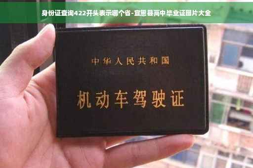 身份证查询422开头表示哪个省-宣恩县高中毕业证图片大全