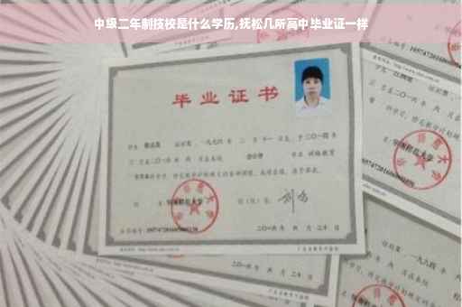 中级二年制技校是什么学历,抚松几所高中毕业证一样