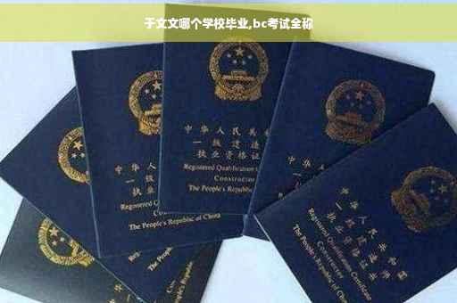 于文文哪个学校毕业,bc考试全称