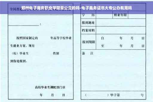 郑州电子商务职业学院是公立的吗-电子商务证书大专公办有用吗