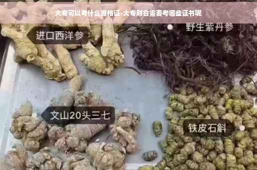 大专可以考什么资格证-大专财会需要考哪些证书呢